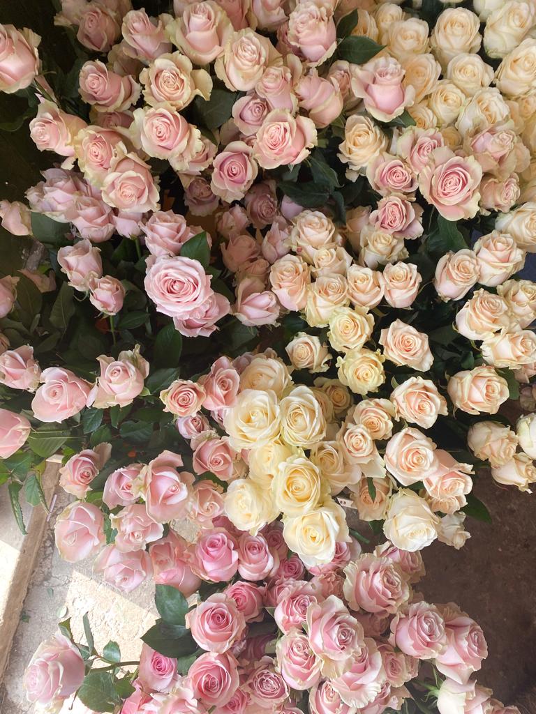 ROSES FOR THE WEEKEND BOX